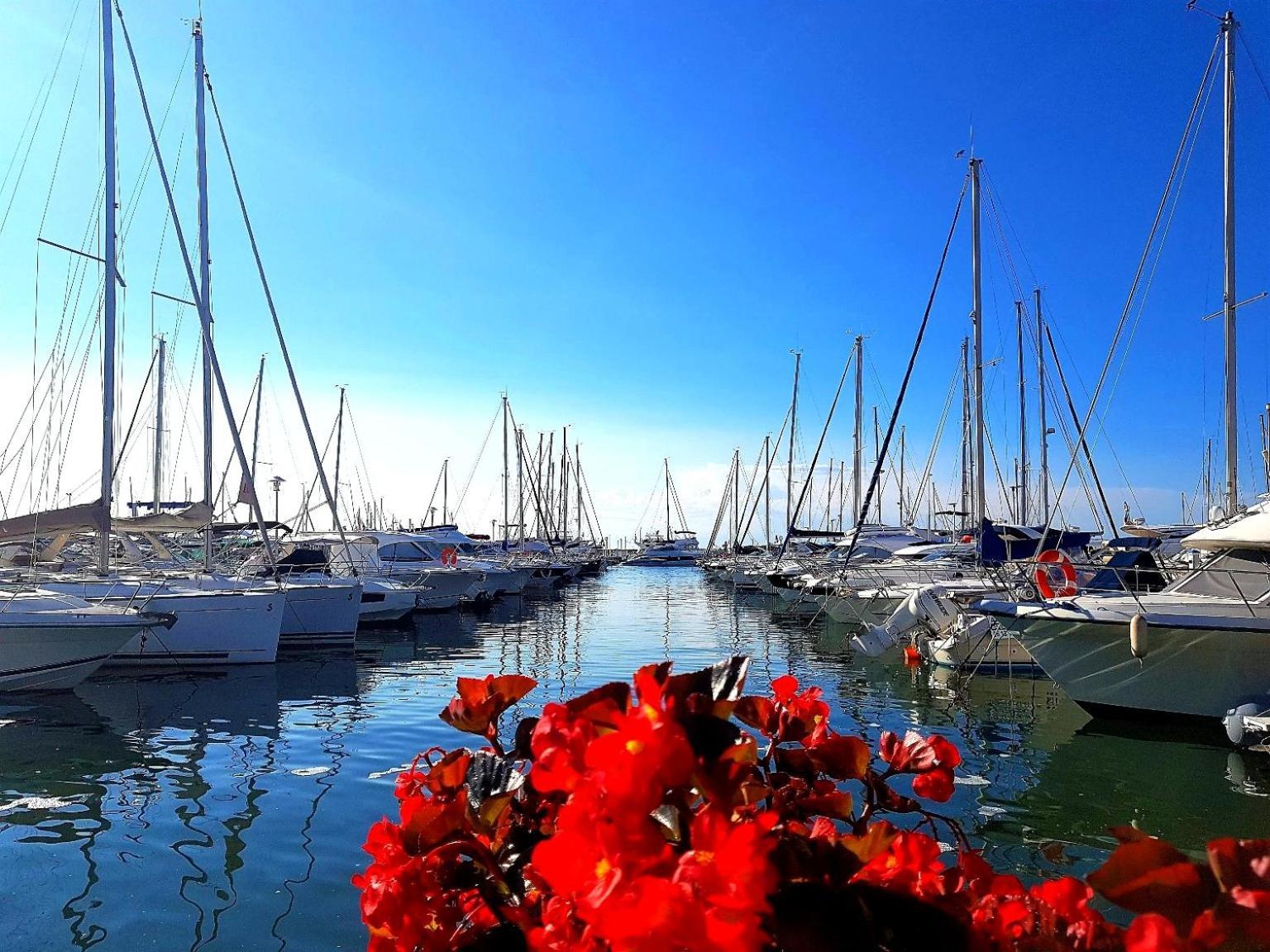 Studio T1- 2 Min Des Plages - Golf-Juan - Clim&Wifi Vallauris Esterno foto